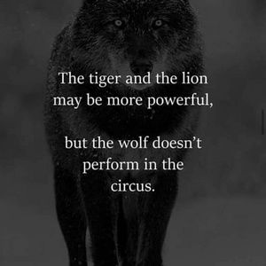 Meet your Posher, Demontriz